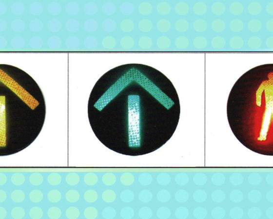 300mm Traffic Signal Modules